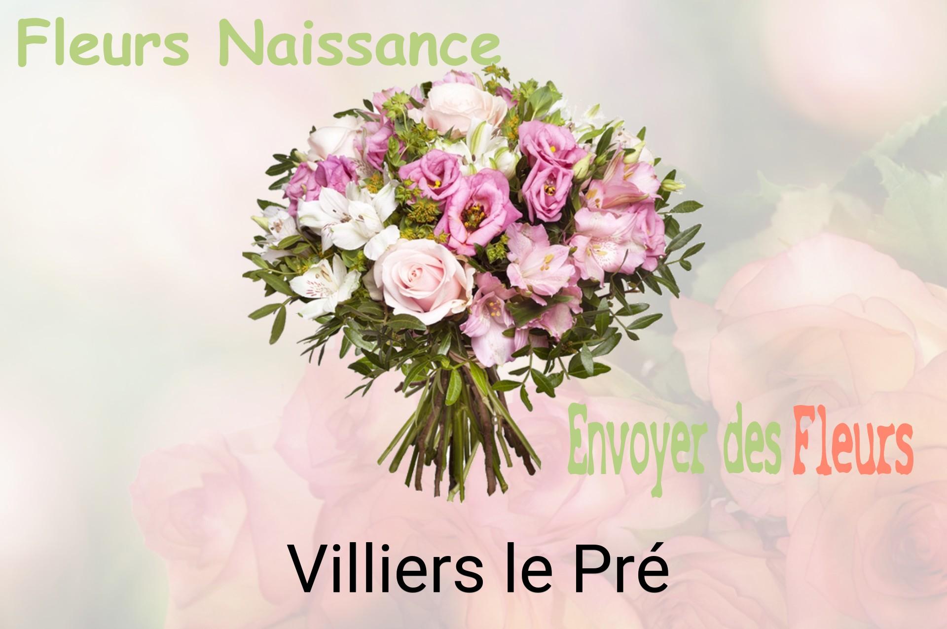 Bouquet de fleurs de naissance livré à Villiers-le-Pré