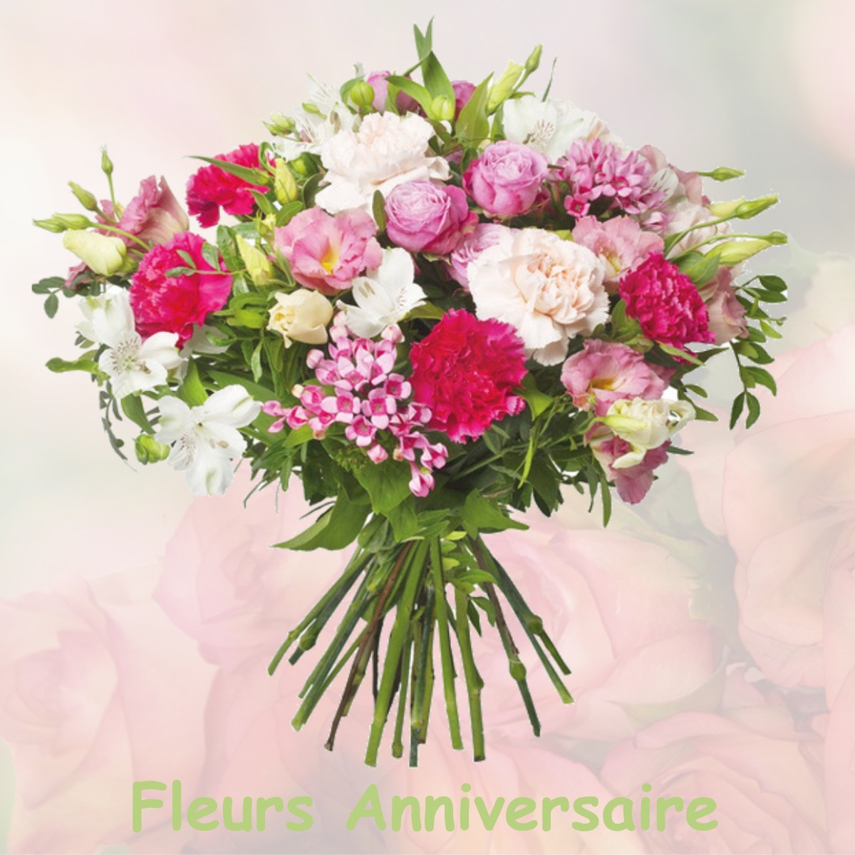fleurs anniversaire VILLIERS-LE-PRE