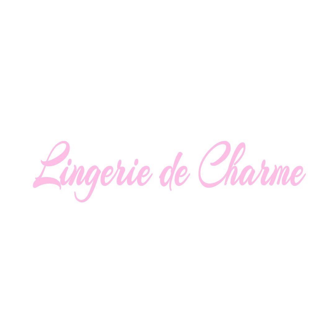 LINGERIE DE CHARME VILLIERS-LE-PRE